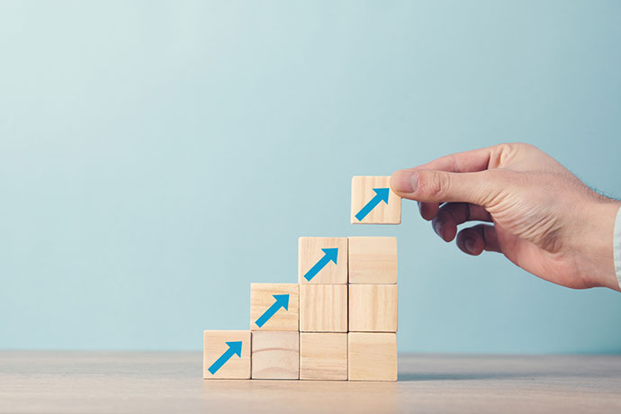 From Nico to Masai – Understanding What an Organization Needs